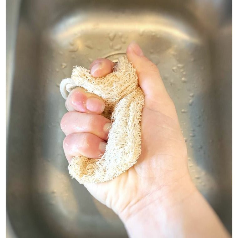 https://celticclansoapery.com/cdn/shop/products/loofah-dish-sponge-double-layer-with-cotton-loop-3-pack-261855.jpg?v=1668876620&width=760