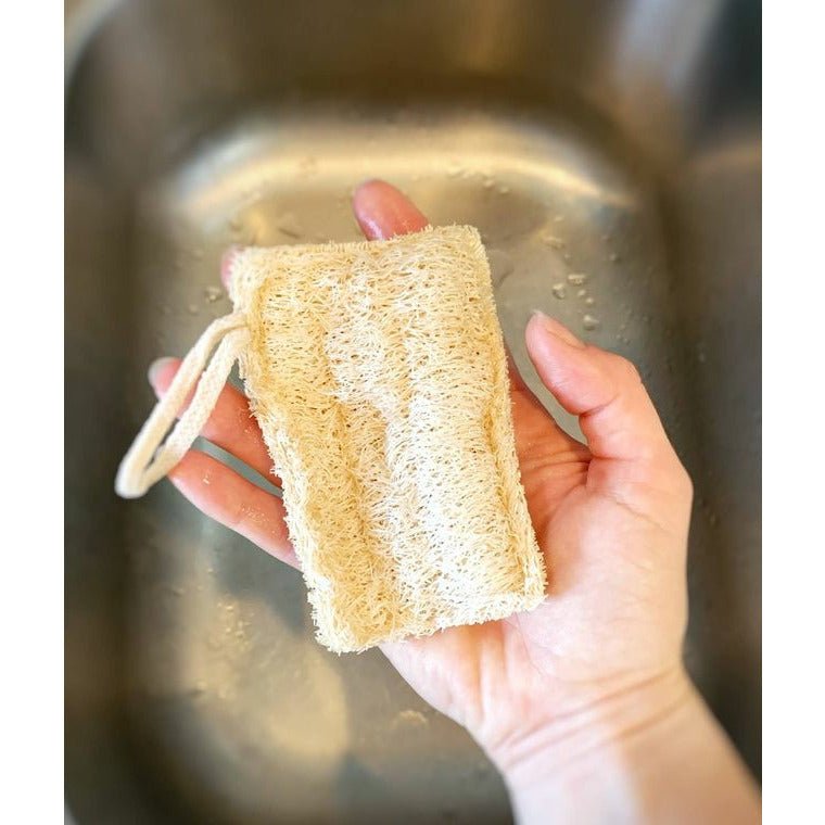 Loofah Dish Sponge: Double Layer with cotton loop 3-Pack - Celtic Clan Soapery LLC
